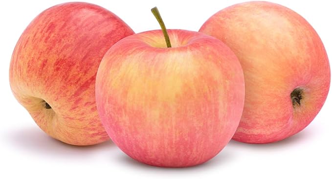 American Plant Exchange Fuji Apple Tree, 5 Gallon Pot, 3-4 ft Tall, Live Outdoor Fruiting Plant, Sweet & Tart Fruit