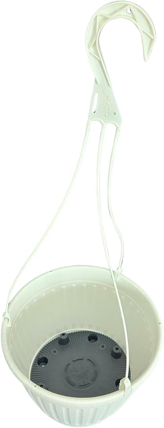 Landmark Plaics 10 inch Imperial Plastic Hanging Basket (White, 10)