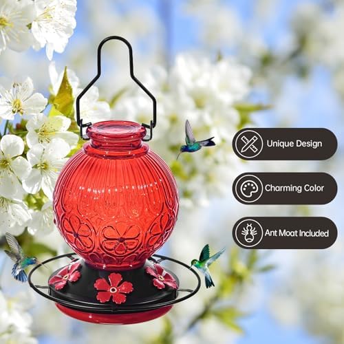 Glass Hummingbird Feeders for Outdoors Hanging Red +Green