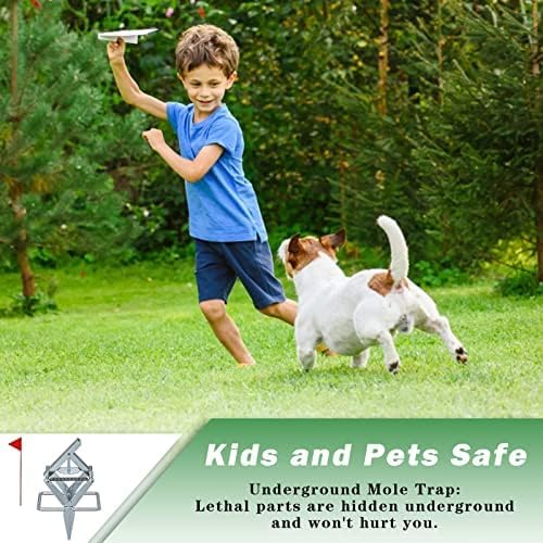 Mole Traps that Kill Best, Scissor for Lawns Vole Traps Outdoor Use, Mole Trap Easy to Set Galvanized Steel Reusable Quick Capture Gopher