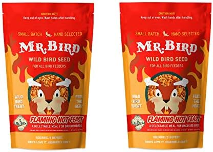 Mr. Bird 2-Pack Flaming Hot Feast Small Loose Seed Bag 2 lbs.