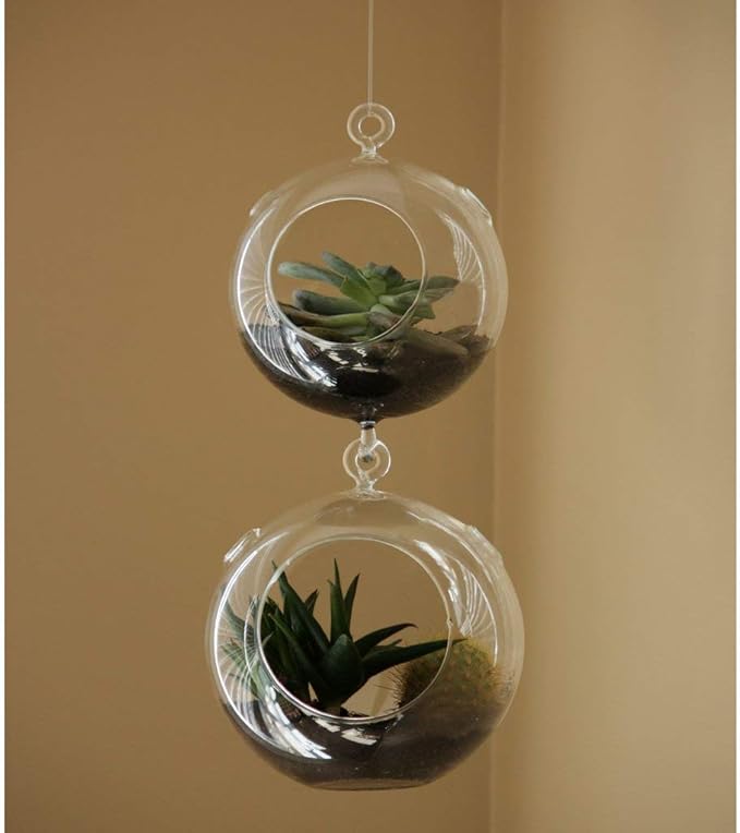 WGV Hanging Terrarium Globe, Width 5", Height 7", Double Hook, DIY Air Succulent Planter, Clear Glass Vase Orb, Candle Holder for Windowsill Outdoor Garden Decor, 1 Piece