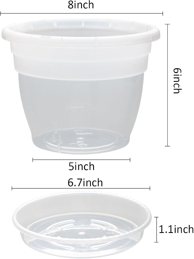 RooTrimmer 8 Inch Clear Nursery Pots with Drainage Holes and Clear Saucers,Transparent Flower Planters for Indoor Outdoor Plants,Thick Plant Pots for Herbs Succulents (10 Pack)