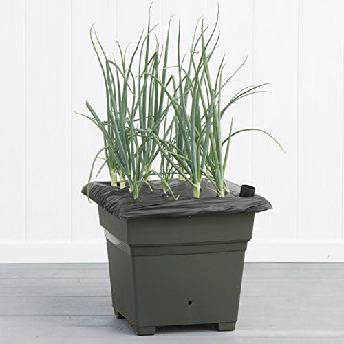 EarthBox 81751 Technology Root & Veg Organic Garden Kit, Green