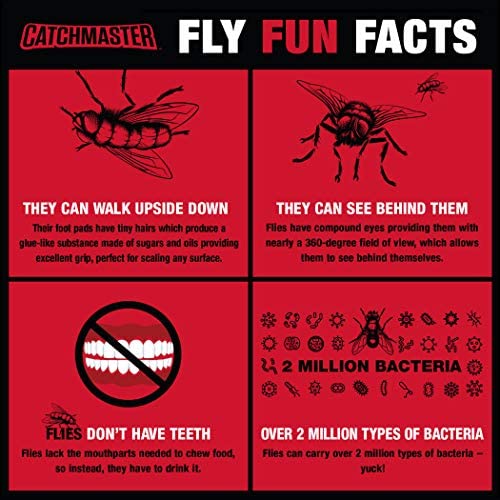 Catchmaster Fly Trap Bundle, Window Fly Traps 12-Pack & Fly Bag 4-Pack, Fruit Fly Traps for Indoors & Outdoors, for Garage, Backyard, Pool, Patio & Camping