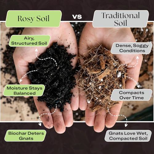 Rosy Soil Houseplant & Cactus Soil + Plant Food Bundle – Peat-Free Indoor Potting Soils + Organic Biochar Plant Food – for Houseplants, Succulents & Cacti – Complete Indoor Plant Care System