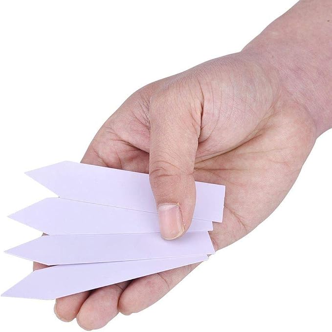 Hydrofarm Macore Co HGPML1000 Plant Stake Labels, 4 x 5/8", Lavender