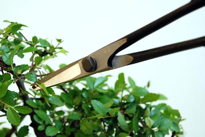 Okatsune 207 Pine Needles Shears with BP