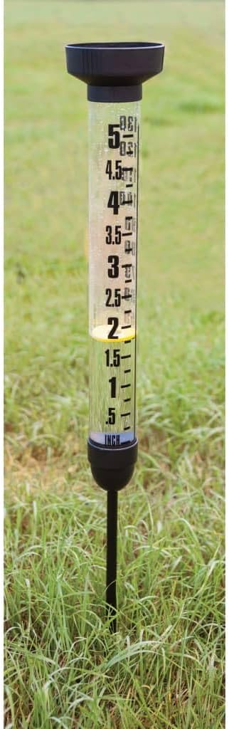 Esschert Design USA TH86 Tall Plastic Rain Gauge, Displays Inches and Milliliters, Clear
