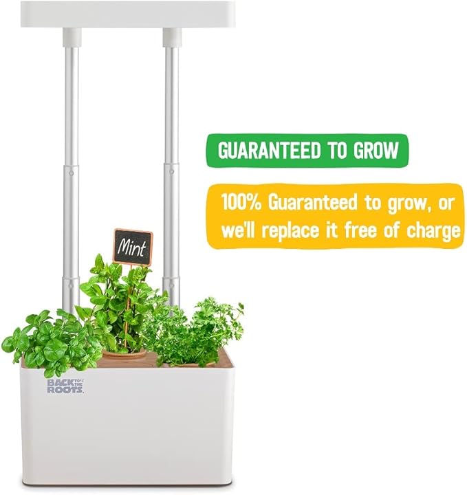 Back to the Roots v1.0 Hydroponic Grow Kit, 2022 Model (Pack of 4)