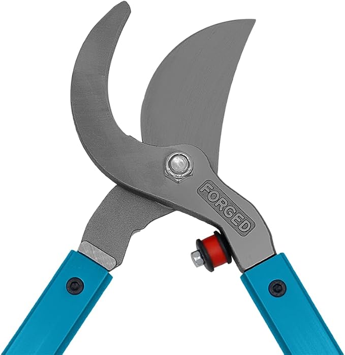 Zenport MV32 Professional Tree Lopper, Orchard and Landscape, 2-Inch Cut, Forged Head, 32-Inch Long