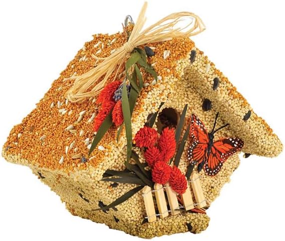 Mr. Bird All Season Wren Casita Wild Bird Seed Birdhouse 1.5 lbs.