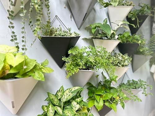 LaLaGreen Bundle- 10 Pack, 4 Inch Black Metal Pot + 4 Pack, 12 Inch Self Watering Pot Geometric Hanging Vertical Wall Mounted Flower Vase Balcony Porch Home Decor Succulent Herbs Plant Holder Garden
