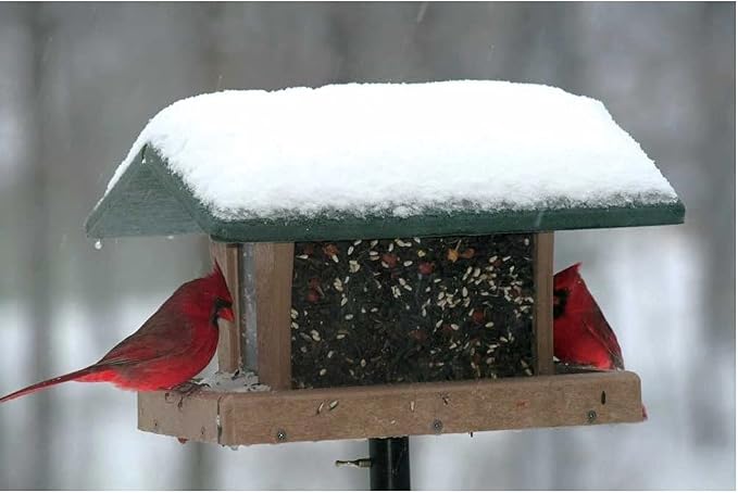 Birds Choice SN4-200S Four-Sided Hopper Feeder, Recycled Bird Feeder, Medium, Taupe/Green