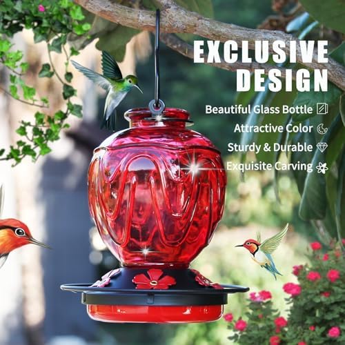 Glass Hummingbird Feeders for Outdoor Hanging, 24 OZ Red and 24 OZ Purple