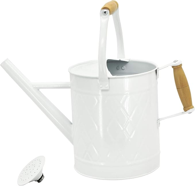 1 Gallon Watering Can with Wooden Handles, White, Galvanized, Metal Watering Can with Removable Spout, Perfect Water Can for Indoor and Outdoor Plants
