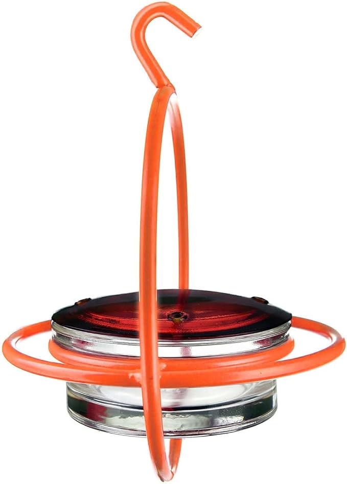 Hummingbird Feeder for Outdoors Hanging, 3.4 OZ Hummingbird Feeders, Glass Bowl with 4 Feeding Ports, Leak Proof Lid & Circular Perch, Bird Feeder (3, Orange)