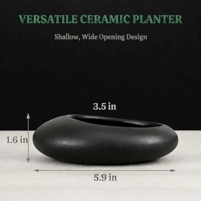 Flower Frog Vase Kit – Japanese-Inspired Arita-Style Glazed Ceramic Ikebana Vase with Kenzan & Gift Box, for Floral Arranging, Home & Office Decor, Relaxing Ambience (Black Small)
