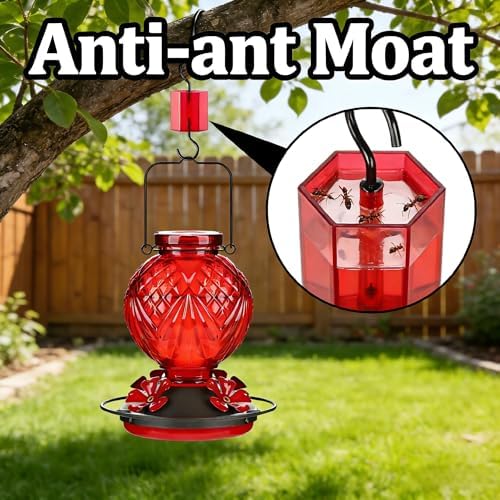 24oz Hand Blown Glass Hummingbird Feeders for Outdoors Hanging 1 Pack Red Polka Dots, 20oz Wild Bird Nectar Feeder 1 Pack Red