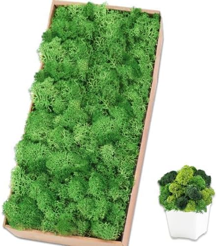 Preserved Reindeer Moss 17.6 OZ Green Natural for Crafts, DIY Gift Christmas Decor, Wall Art, Potted Plants, Floral Fake Moss for Easter Table Decor Wedding Decorative(1.1 LB, Green)