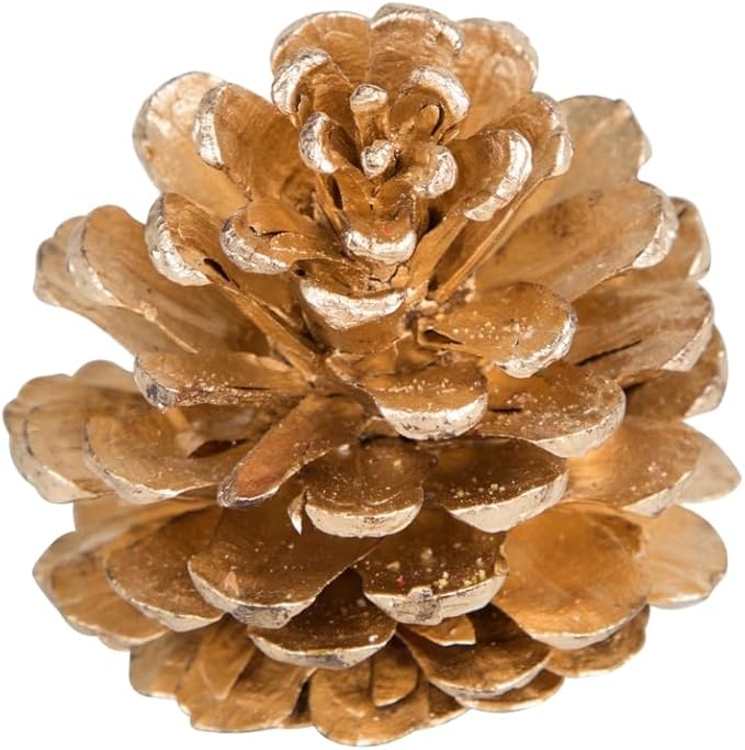 Natural Austriaca Pine Cones for Crafts - 2-3 Inch Real Pinecones for Christmas Decorating Ornaments, Holiday Decor Vase Filler - Rustic Woodland Dried Pine Cones - Set of 24 – GOLD PAINTED