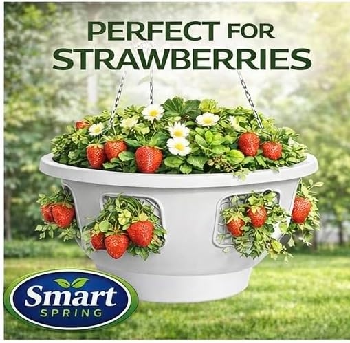 Ultimate Hanging Baskets - Strawberry, Tomato, Flower, and Herb Outdoor Planters - Use Garden Pots for Growing Plants Outside On A Deck, Fence, or Balcony