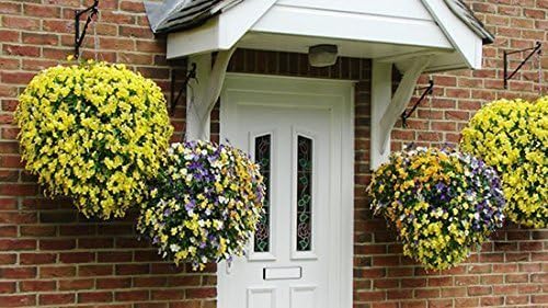 Ultimate Hanging Baskets - Strawberry, Tomato, Flower, and Herb Outdoor Planters - Use Garden Pots for Growing Plants Outside On A Deck, Fence, or Balcony