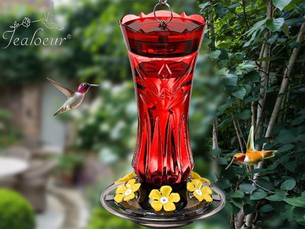 Jealoeur Hummingbird Feeders for Outdoors, Durable Hanging Humming Birds Feeders with 6 Bee Guard Feeding Ports & Built-in Ant Moat, Easy to Clean, Ideal for Garden Decor, 18 OZ, (1, Red)