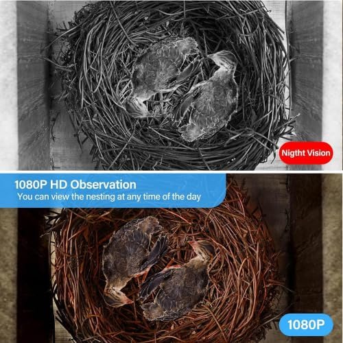Smart Bird House with Camera, 1080p HD 2.4G WiFi Outdoor Bird Box. Features Auto Capture Bird Video & Motion Detection, Night Vision, App Alerts and Serves as a Bird Nesting Box (Natural, Normal)