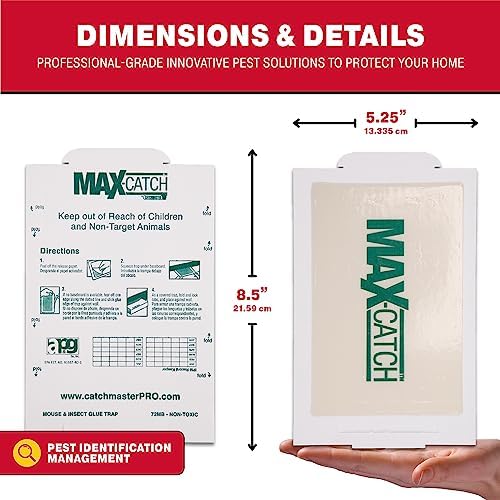 Catchmaster Mouse & Pest Glue Board Bundle, 36 Glue Boards & 6 Pack Large Glue Traps, Rat & Mouse Traps Indoor for Home