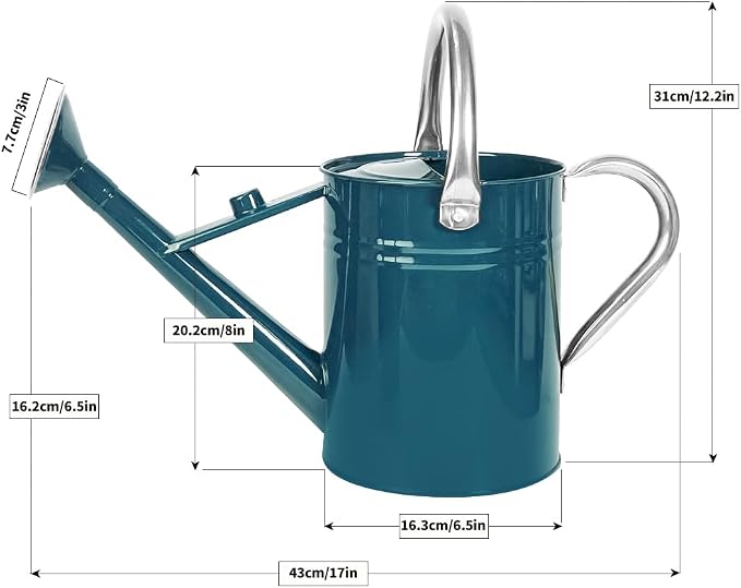 1 Gallon Metal Watering Can with Removable Spout, Nice Galvanized Steel Water Can for Indoor and Outdoor Plants (Ocean Blue)