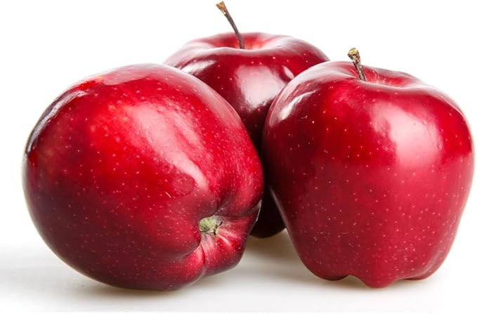 American Plant Exchange Live Red Delicious Apple Tree, Fruit-Bearing Plant Pot for Harvest and Home and Garden Decor, 2-3' Tall, 1-Gallon Pot