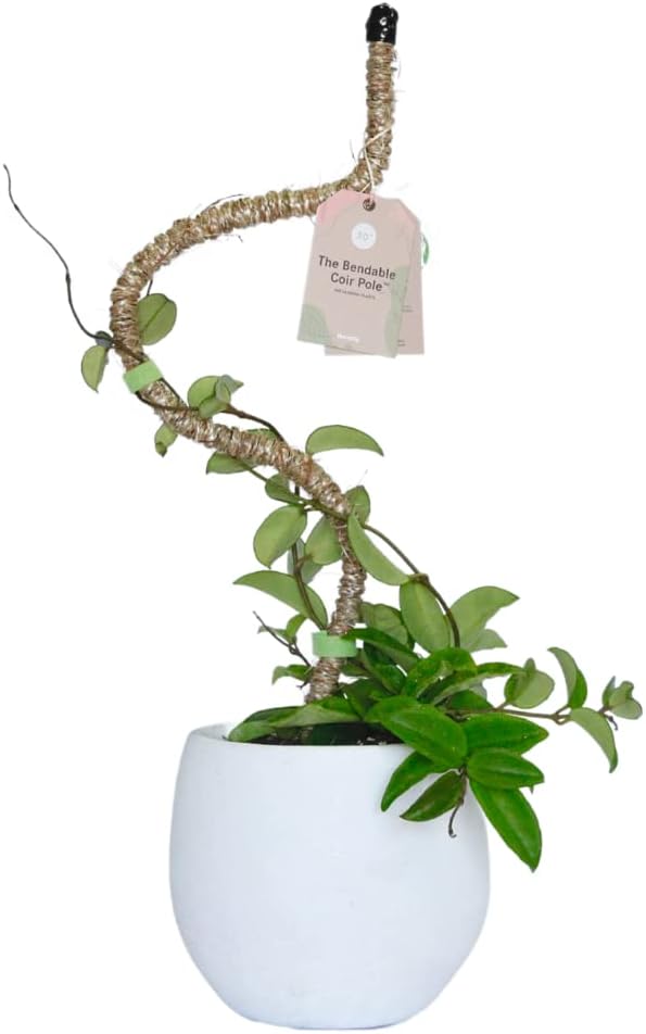 Mossify Bendable Coir Pole for Plants – 42” Premium Manila Coir Moss Pole Monstera Plant Support for Indoor & Outdoor Plant Climbing Support - Comes with Reusable Tape for Durable Plant Pole