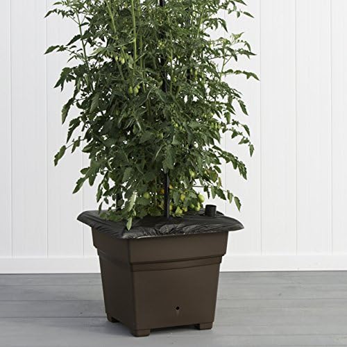 EarthBox 81753.01 Root & Veg Garden Kit, Organic, Chocolate
