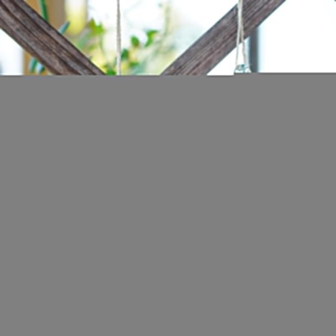 2pcs Small Glass Hummingbird Feeders for Outdoors Humming Bird Feeder with 2 Flower Feeding Ports for Window Garden Patio Decor Blown Glass Hummingbird Feeder for Outside Never Leak