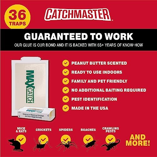 Catchmaster Mouse & Pest Glue Board Bundle, 36 Glue Boards & 6 Pack Large Glue Traps, Rat & Mouse Traps Indoor for Home