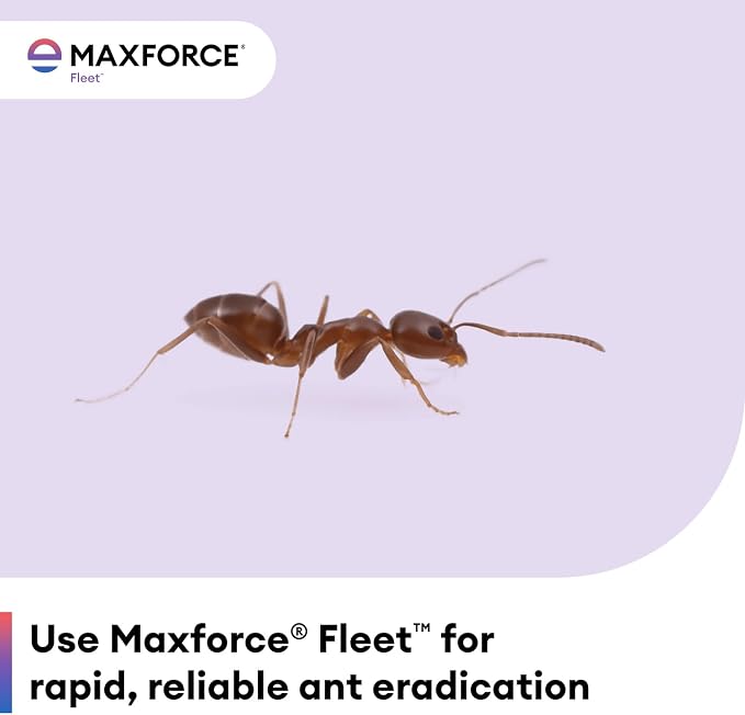 Maxforce Fleet Ant Bait Gel (4x27gram) - Fastest-Acting Ant Killer with Fipronil - Indoor & Outdoor Use - Kills Entire Colonies, Controls Carpenter, Argentine, Odorous House Ants, & More
