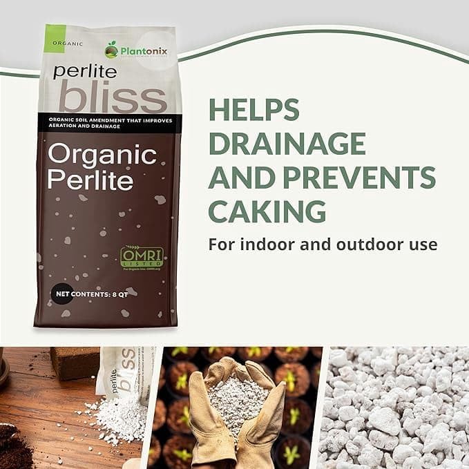Seed Starting Soil Mix (24 Qts) - Coco Coir 650gm Bricks (2-Pack) + Perlite Bliss + 3 Gallon Grow Bags - Seed Starter Soil for Indoor Plants, Outdoor Plants, Seedlings - Organic Coco Coir Perlite Mix