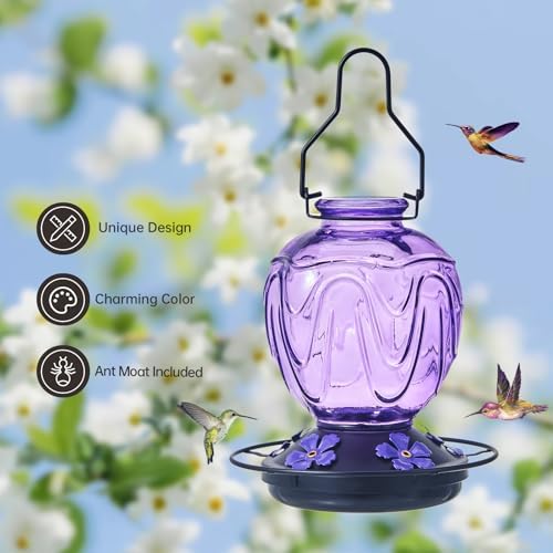 Glass Hummingbird Feeders for Outdoor Hanging, 25 OZ Red and 24 OZ Purple