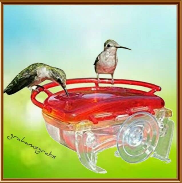 Aspects 437 (2 Pack) The Gem Window Hummingbird Feeder