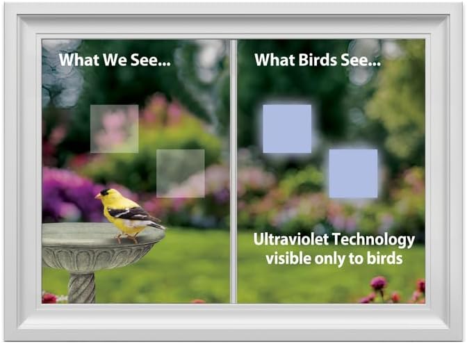 WindowAlert Classic Square Large Starter Pack - Bird Strike Prevention Decals (12 Envelopes) with UV Tester Flashlight & Application Squeegee - Made in USA