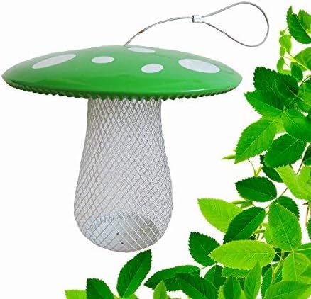 Best Wild Bird Feeder to Attract More Tree clinging Birds Fill it with Sunflower Black Oil Seed Peanuts and Suet Pellet Easy to Install Clean & Fill