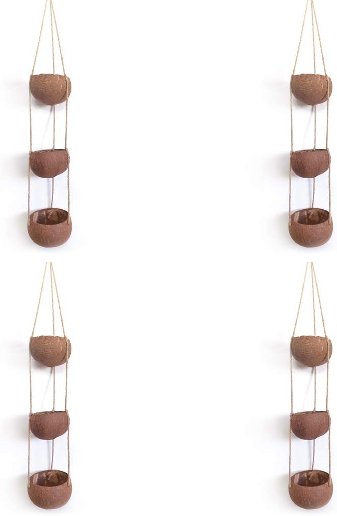Rainforest Bowls Set of 4 3-Tier Hanging Coconut Planters w/Drainage - Perfect for Succulents, Flowers, Small Plants, Indoor & Outdoor Gardens- Handcarved by Artisans, Eco-Friendly & Sustainable