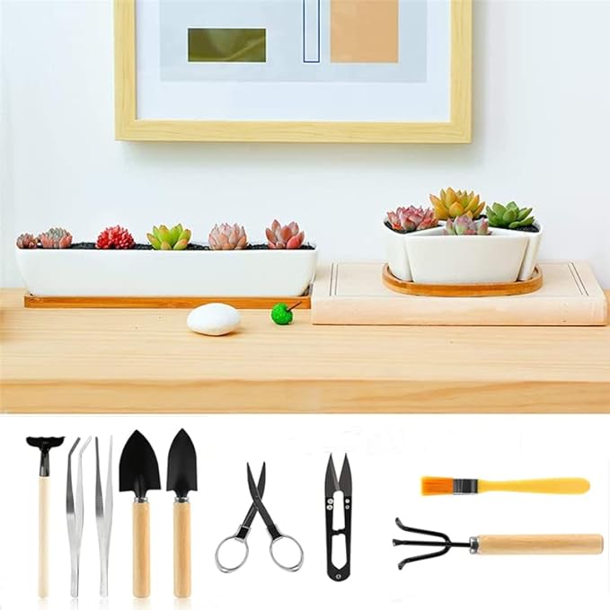 10 Piece Set of Garden Potted Tools Mini Garden Tool Set for Miniature Succulent Bonsai Cactus Planting Transplant Gardening Hand Tools