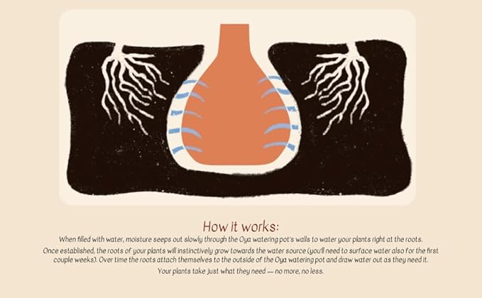 Growoya Garden OYA Medium Watering Pot Plant Irrigation System Sustainable Traditional Olla Watering Smart Underground Watering Available for Garden Beds Raised Beds and Grow Bags