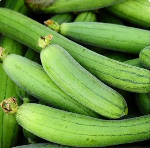 Bundle: Yardlong Pole Bean Seeds + Luffa Gourd Seeds for Planting