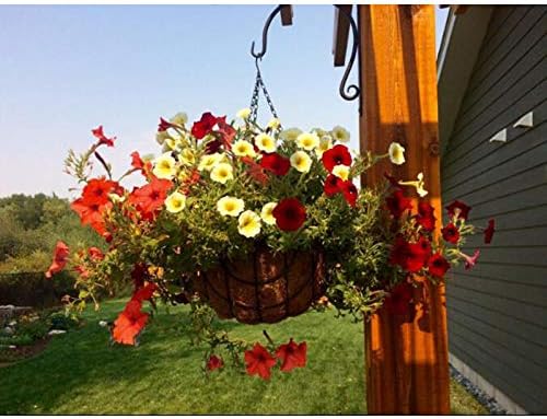 MTB Supply 2 Pack 14 Inch Garden Hanging Baskets Vintage Geo with Coco-Liner for Home Balcony Patio Decoration Outdoor Hanging Planter