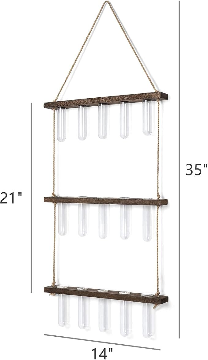 Mkono Plant Terrarium with Wooden Stand, Wall Hanging Glass Planter Desktop Propagation Bulb Vase Metal Swivel Holder Retro Rack for Hydropoincs Plants Home Office Decor（5 Bulb Vase）