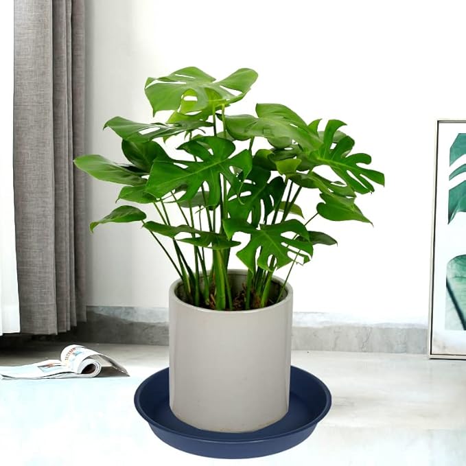6 Pack of 8 inch Plant Saucer Blue, Plastic Plant Water Tray 8 inch Round, Flower Plant Saucers for Indoors, Dlant Dishes Saucer for Planter 7"/8" (8", Blue)