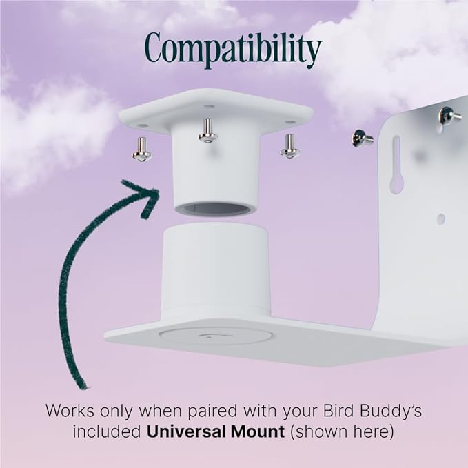 Birdbuddy Wall Mount - Versatile Bird Feeder Wall Mount for Wall & Fences - Durable, Weather-Proof Heavy Duty and Secure & Stylish Outdoor Feeder Accessory